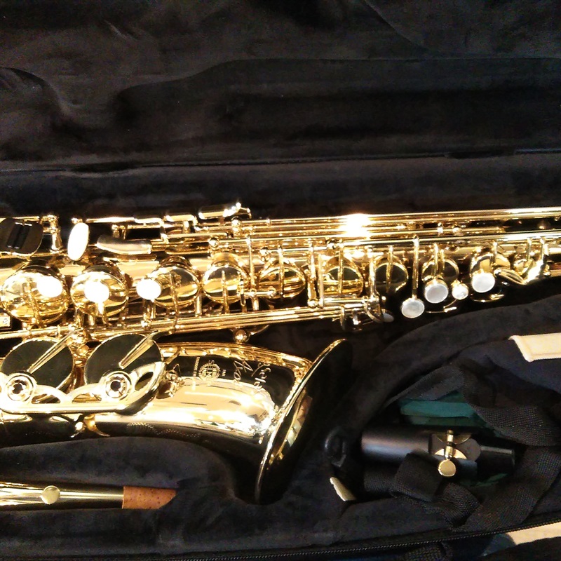 Selmer Paris ｱﾙﾄｻｯｸｽ ｾﾙﾏｰ AXOSの画像